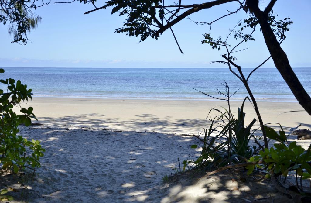 Pk'S Jungle Village Cape Tribulation Exteriér fotografie