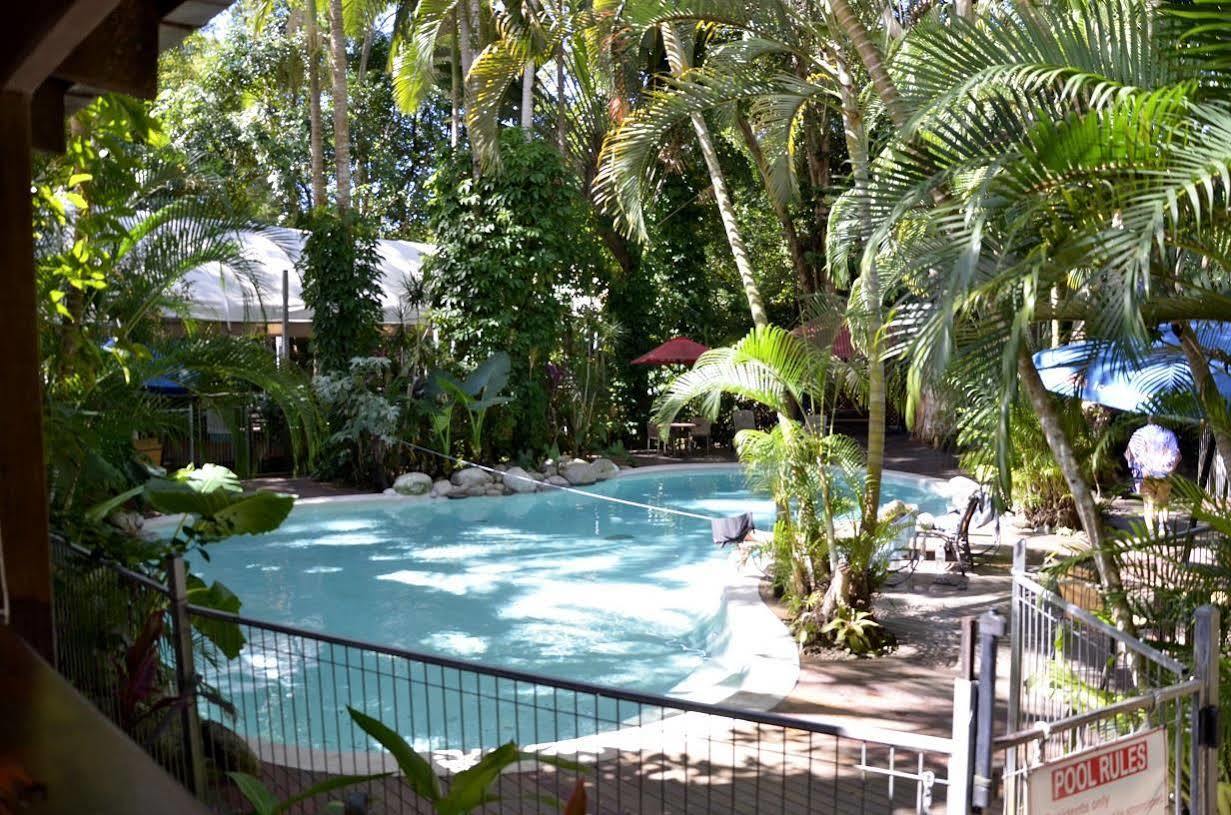 Pk'S Jungle Village Cape Tribulation Exteriér fotografie
