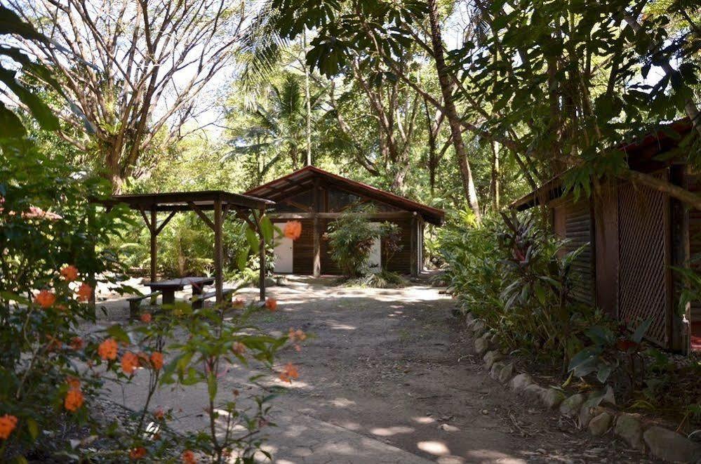 Pk'S Jungle Village Cape Tribulation Exteriér fotografie